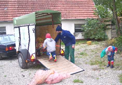 gehtdoch